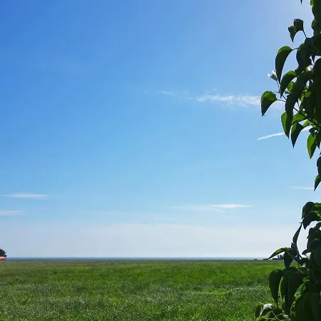 Holiday Holiday home *